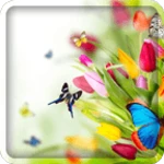 Logo of Spring Live Wallpaper android Application 