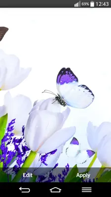 Spring Live Wallpaper android App screenshot 6